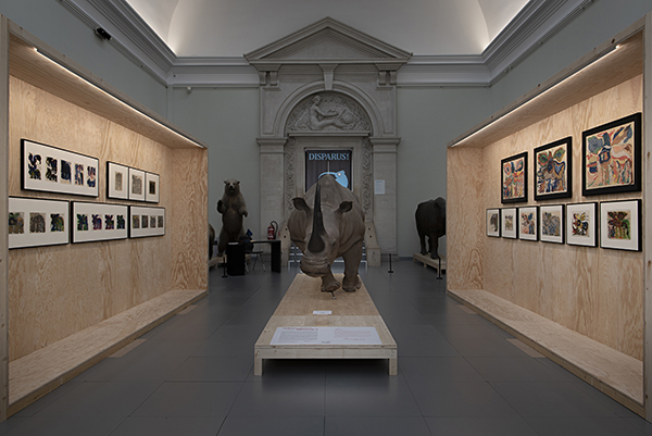 Gaston Dufour - Rhinocéros féroce