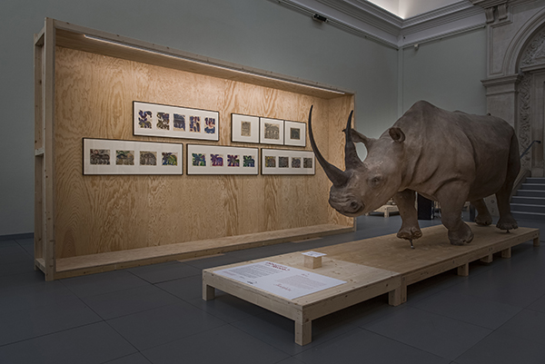 Gaston Dufour - Rhinocéros féroce